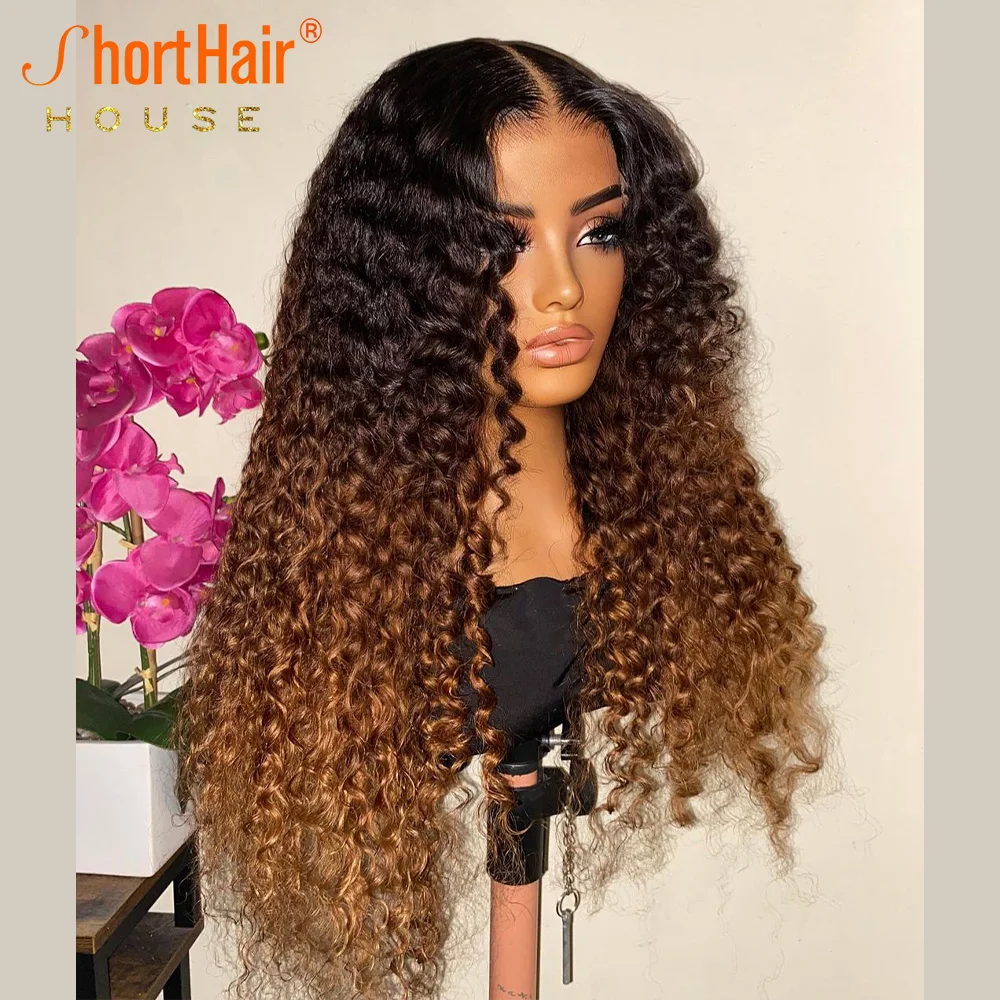 Glueless Human Hair Wigs Ombre Brown Wigs For Women Transparent HD 5X5 Lace Closure Wig Ready To Wear Double Drawn Wig Brazilian