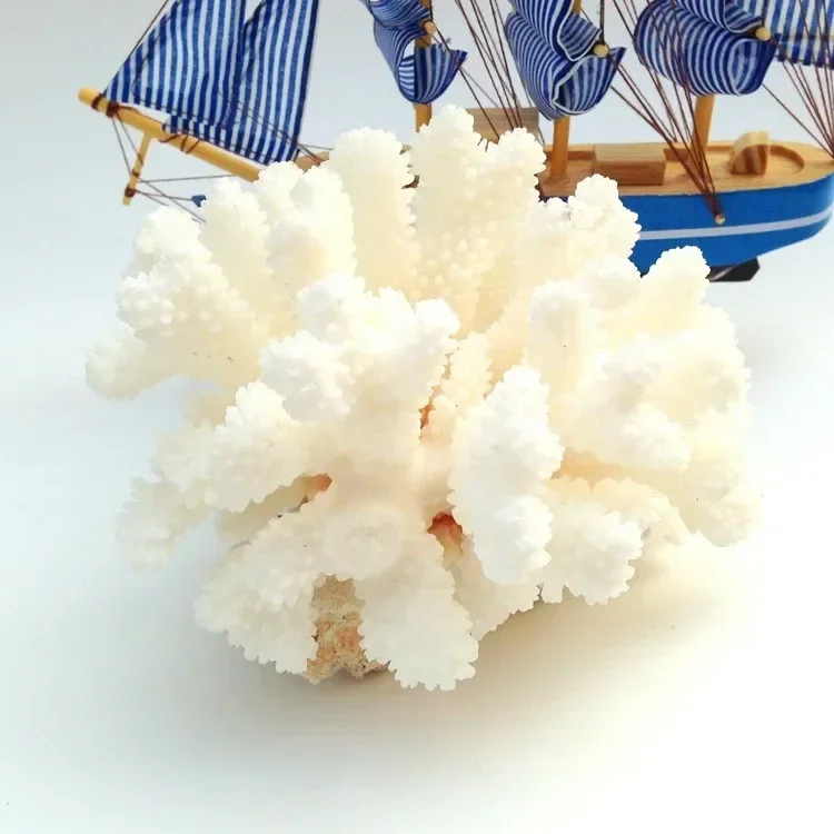 White sea coral tree7