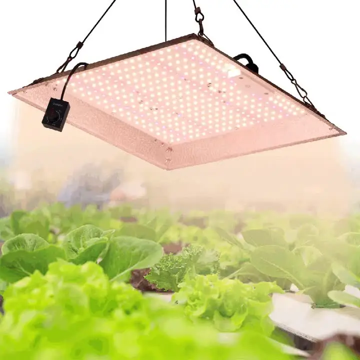 100 Вт полный спектр света для выращивания растений светодиодная лампа с высокой