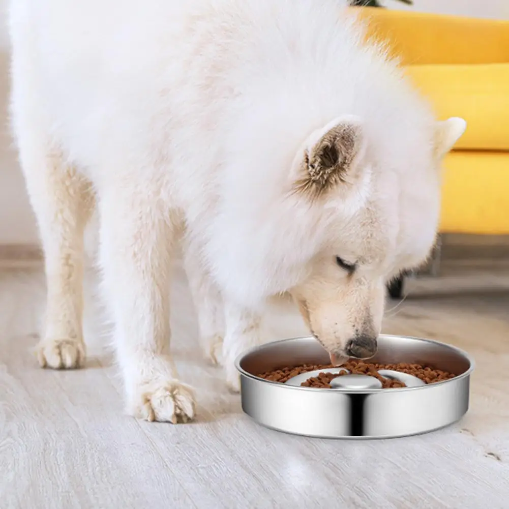 �ݷ����� ���ο� �Ǵ� ������ �׸�, �̲��� ���� �����θ��� ��ƿ ���� �� �׸�, ���� ���� �����߿� IQ �Ʒ� �峭��