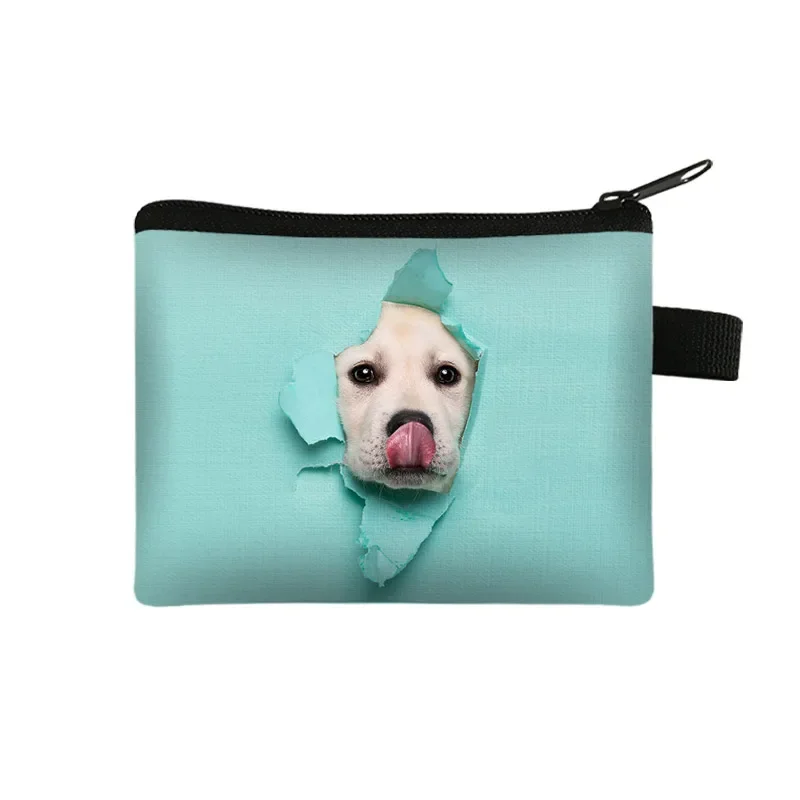 Trousse Mignonne Chihuahua - Petite Pochette Pour Serviettes Hygiéniques, Maquillage Ou Porte-Monnaie - 12x9 Cm - Fermeture Éclair