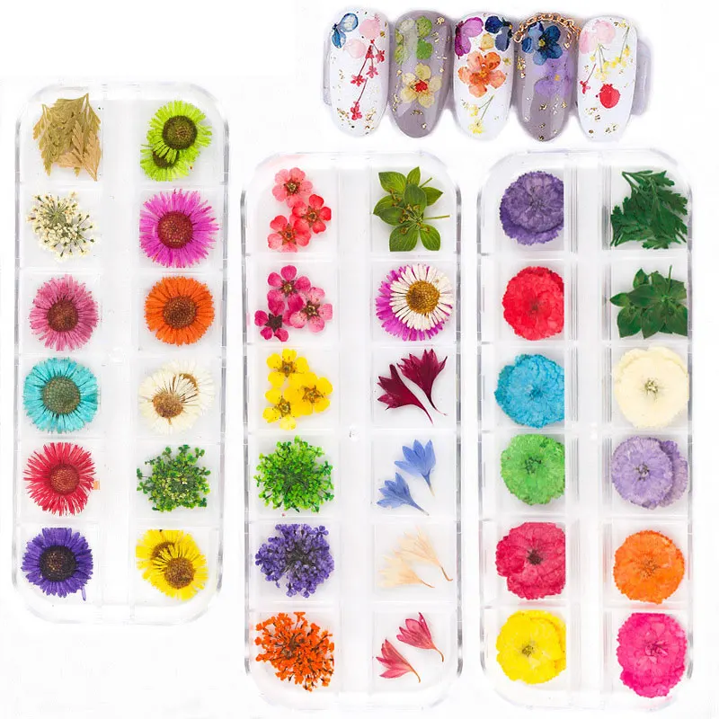 JCD 12 Grids 3D Dried Flowers Nail Art Decoration Real Natural Floral Sticker Designs Dry Flower Decals DIY Manicure Accessories 3