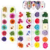 JCD 12 Grids 3D Dried Flowers Nail Art Decoration Real Natural Floral Sticker Designs Dry Flower Decals DIY Manicure Accessories 3