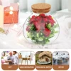 Round Glass Jar Cork Flower Plant Terrarium Micro-Landscape Ecological Bottle Crafts Container Landscape Bottle DIY Decorative 5