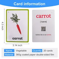 26 categories 760 kids cards Colors Shape Vegetable Fruits In English Word Learning Card Early Education children Pocket Card 2