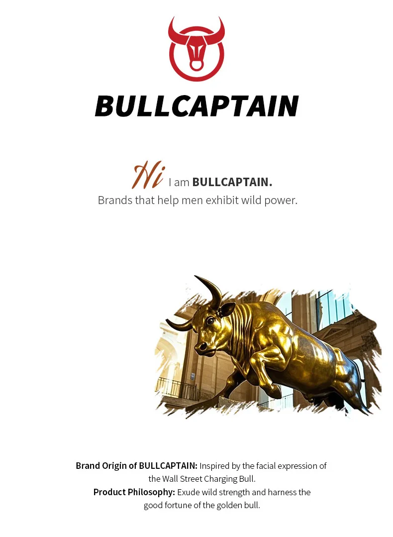 Bull captain neue Männer Tasche Echt leder Mann Marke Umhängetasche kleine Business-Taschen männliche Messenger Ledertaschen – Detail 1