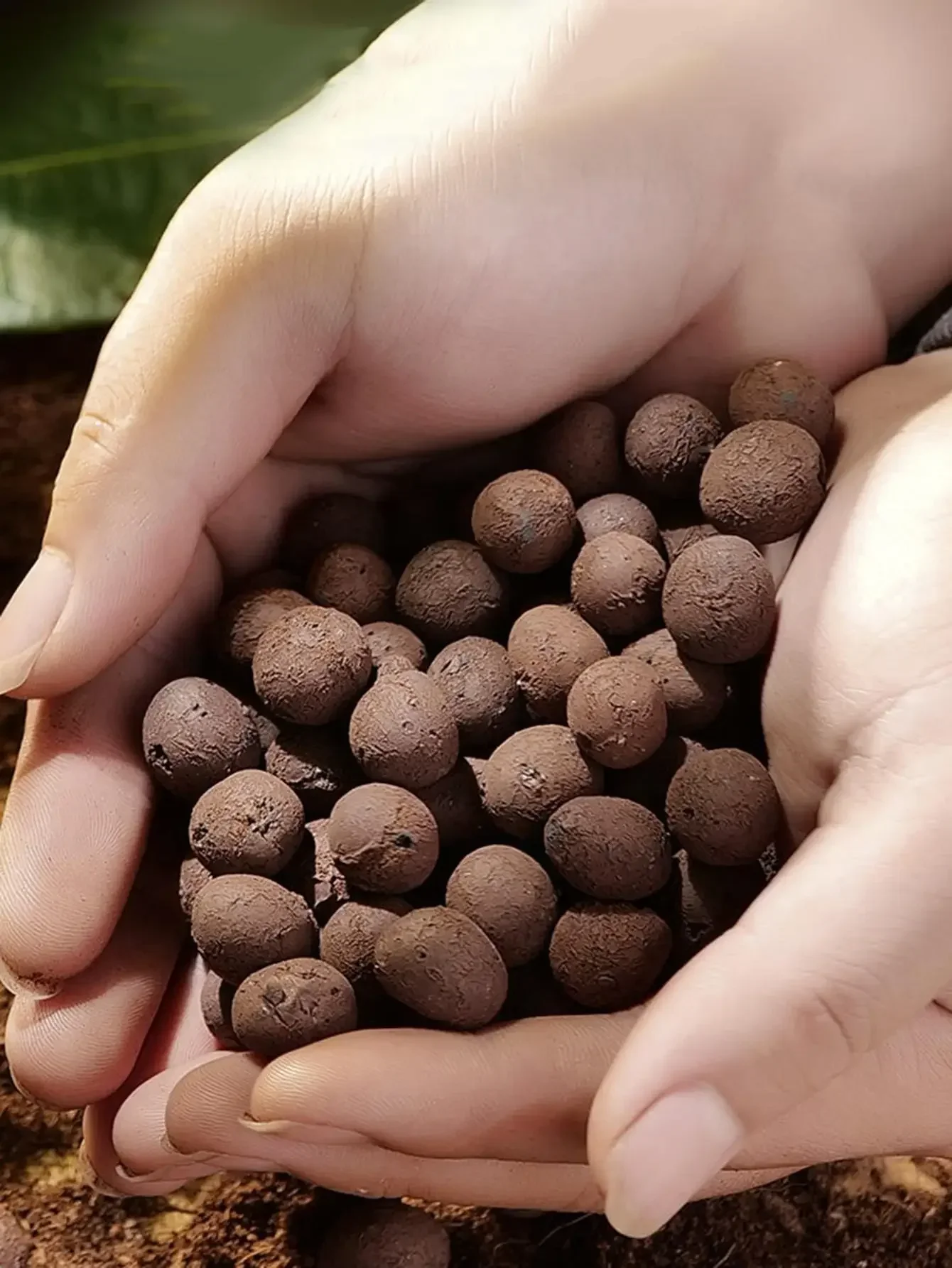 Description Picture 5 of item500g  Clay Pebble Combination Set, Used For Garden Decoration, Micro-Landscape, Bonsai Decoration, Aquarium