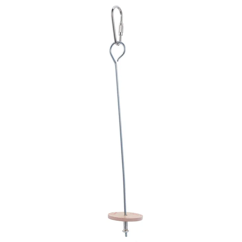 Bird Food Holder Pet Parrots Birds Stainless Steel Fruit Spear Stick Meat Fruit Vegetable Skewer Fork Hook Bird Cage Accessory