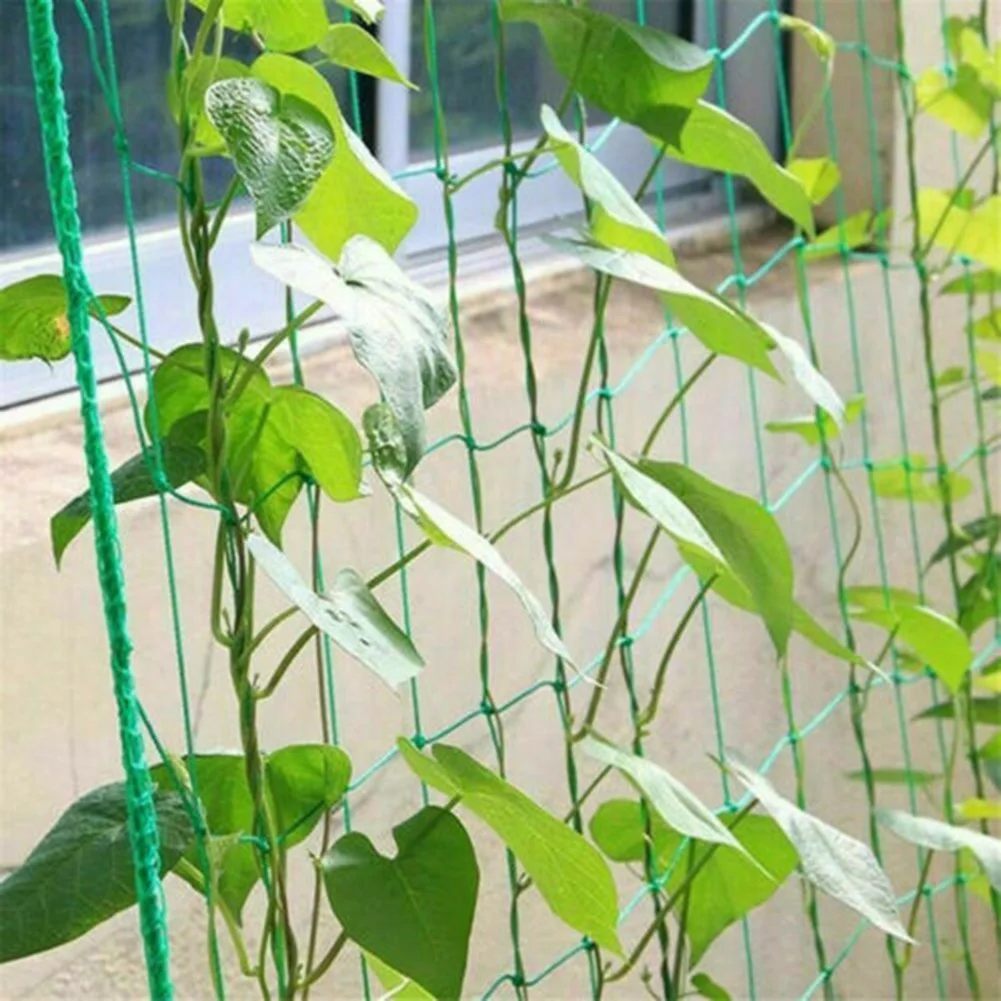 

Heavy Duty Nylon Net Garden Nylon Trellis Netting Support Cucumber Morning Glory Climbing Bean Plant Net Grow Fence Decor