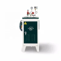 Steam Car Washing Machine High Pressure Cleaner 3kW for Car Washes 1
