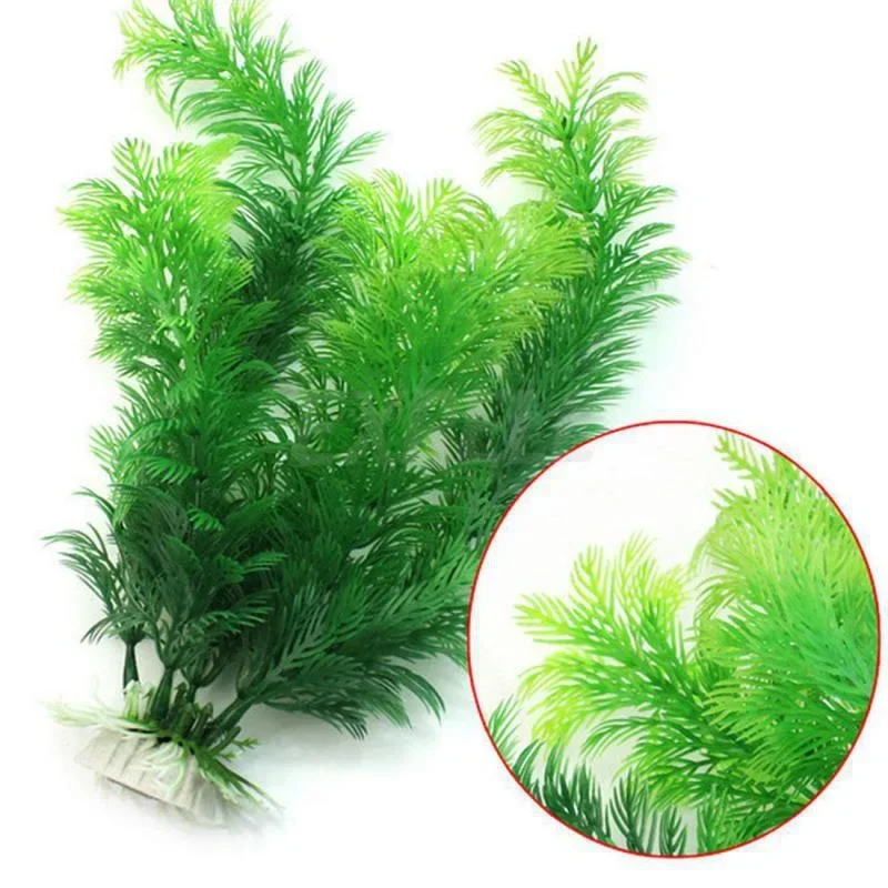 Aquatic Plants Aquarium simulation plant