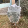 New Plant Protection Bag Cover Netting Mesh for Fruit Vegetable Tree Strawberry Grapes Pest Control Anti-Bird Gardening Tools 6