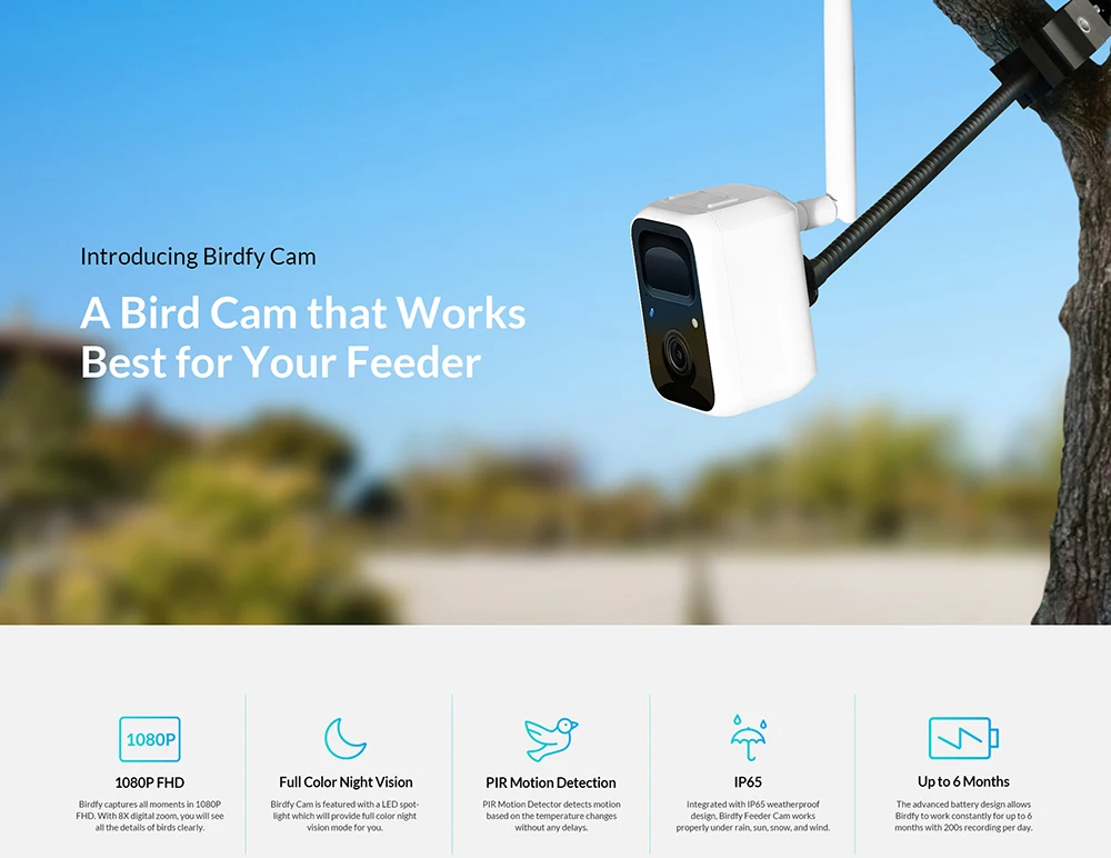 NETVUE-Caméra d'alimentation pour oiseaux, WiFi, caméra d