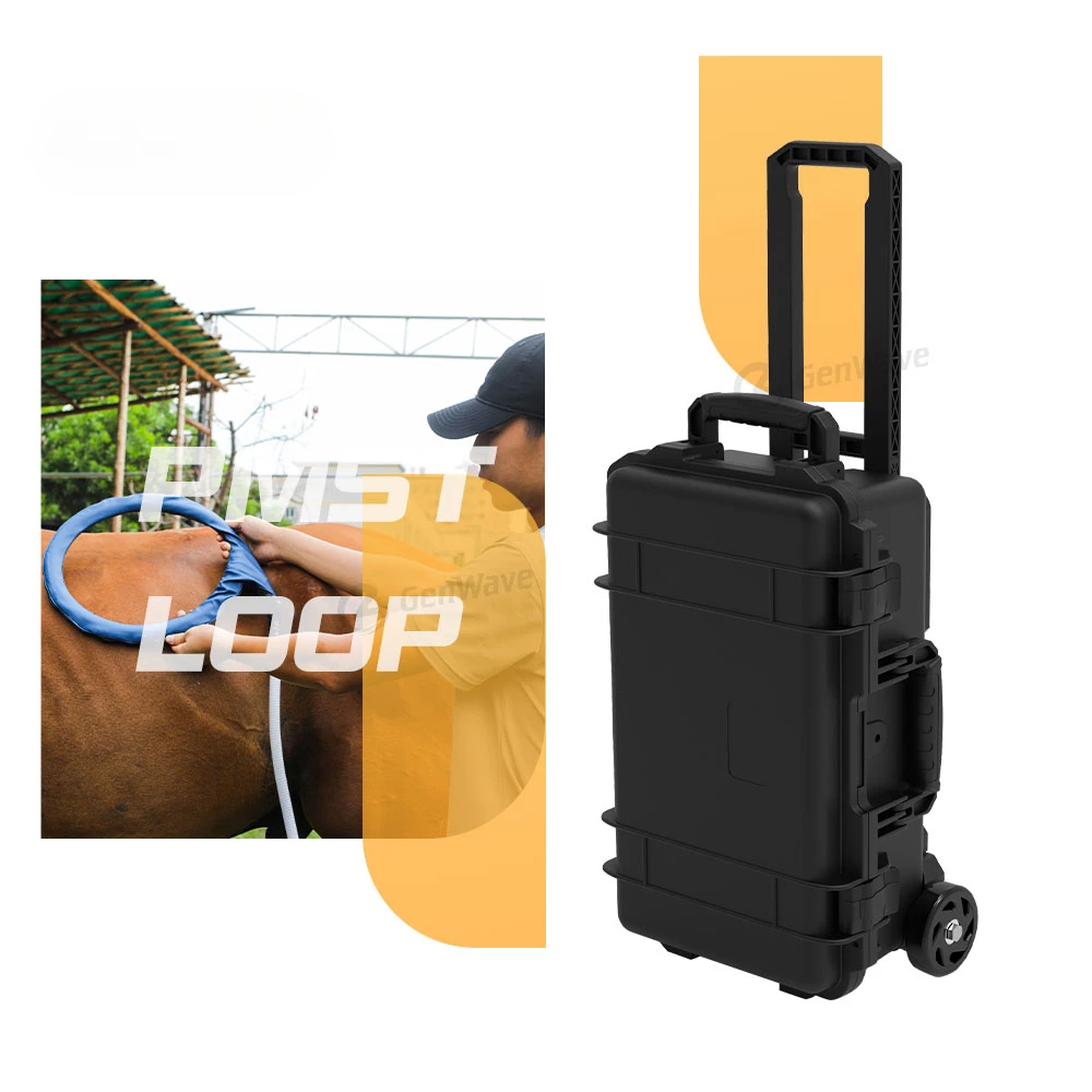 Portatile Pmst Loop Physio Magneto Pemf Machine Attrezzatura Per Fisioterapia Per La Gestione Del Dolore