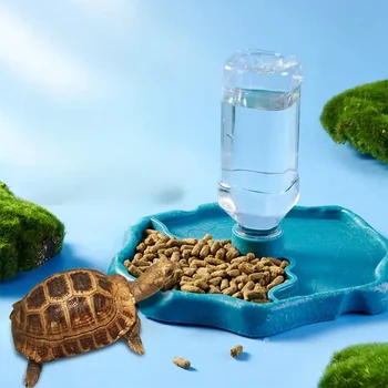 1pc - Reptile Feeder, Turtle Food Dish, 1