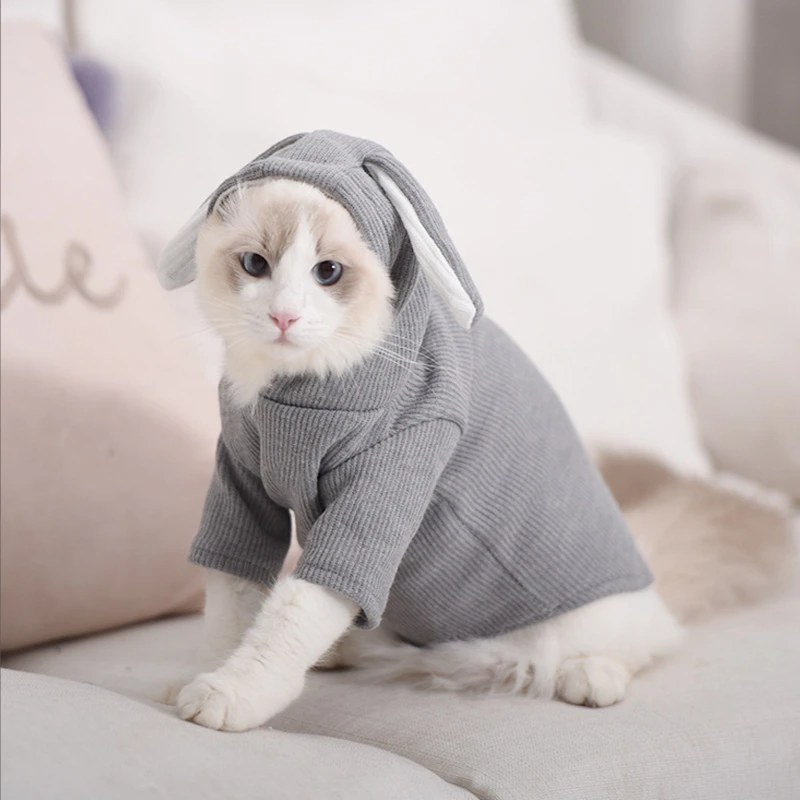 Chinese New Year Cat Sweater Cotton Winter Warm Small Dogs Cat Clothes Coat Clothing  Designer Sweater for Cats Accessories - AliExpress