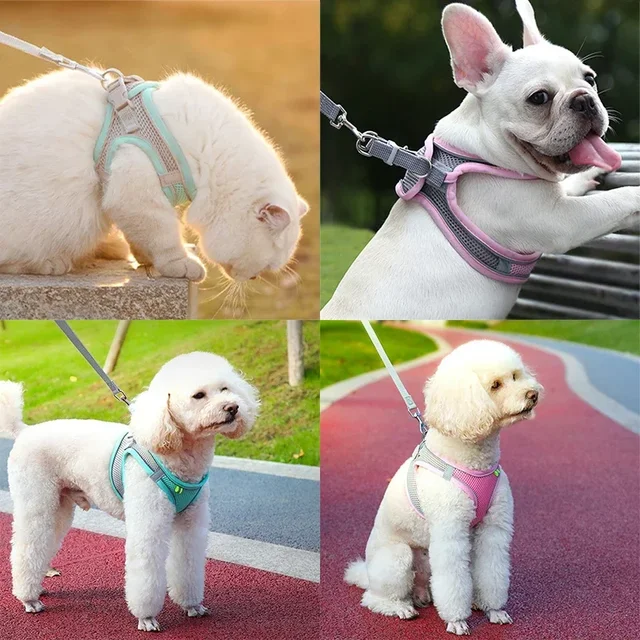 Dog Harness Leash Set Reflective Breathable for Small Dogs Adjustable Puppy Cat Harness Vest French Bulldog Chihuahua Pug 5