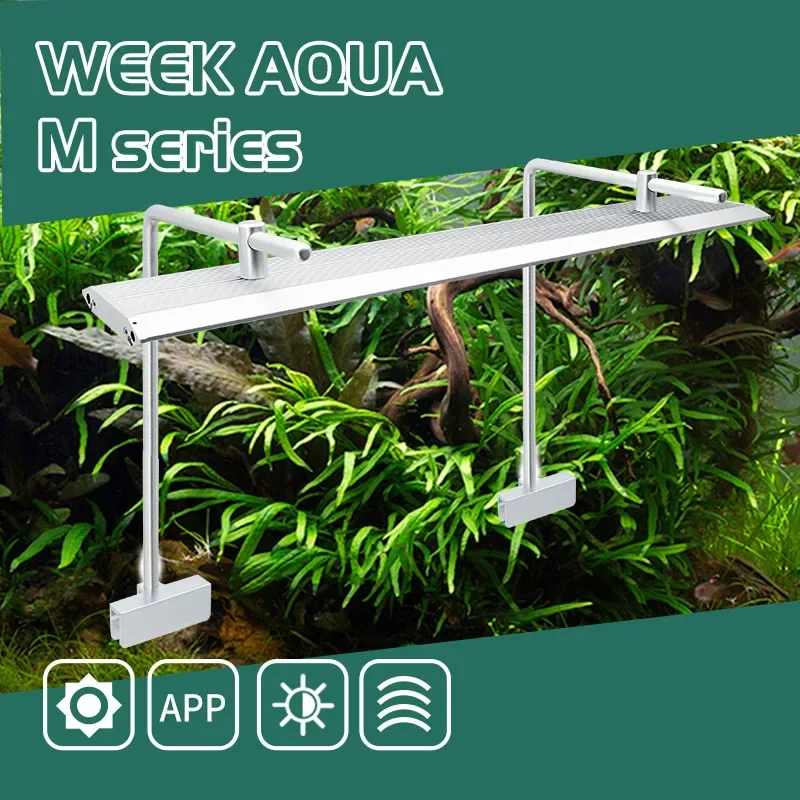 Week Aqua M Series Wrgb Led Aquarium Light Per Nano Aquarium Light Con Cycle Timer Nano Tank Con Staffa Per Piante Aquatics
