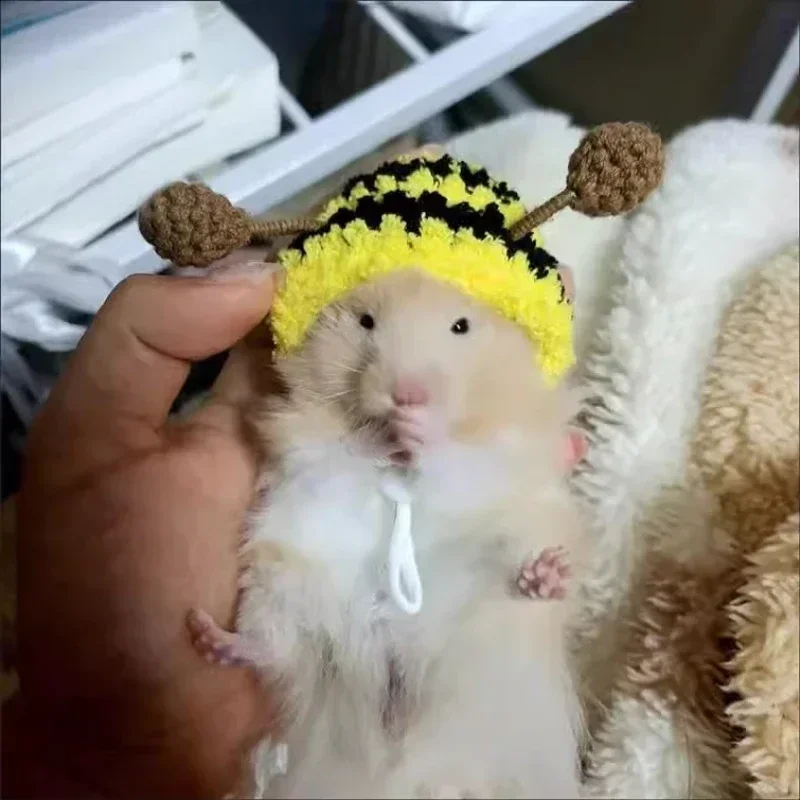 Pet Headgear Small Animal Clothes Hamster Golden Silk Bear Plush Cute Little Hat Photo Props Pure Hand Crocheted Pet Woolen Hat Winter Mini Pet Supplies