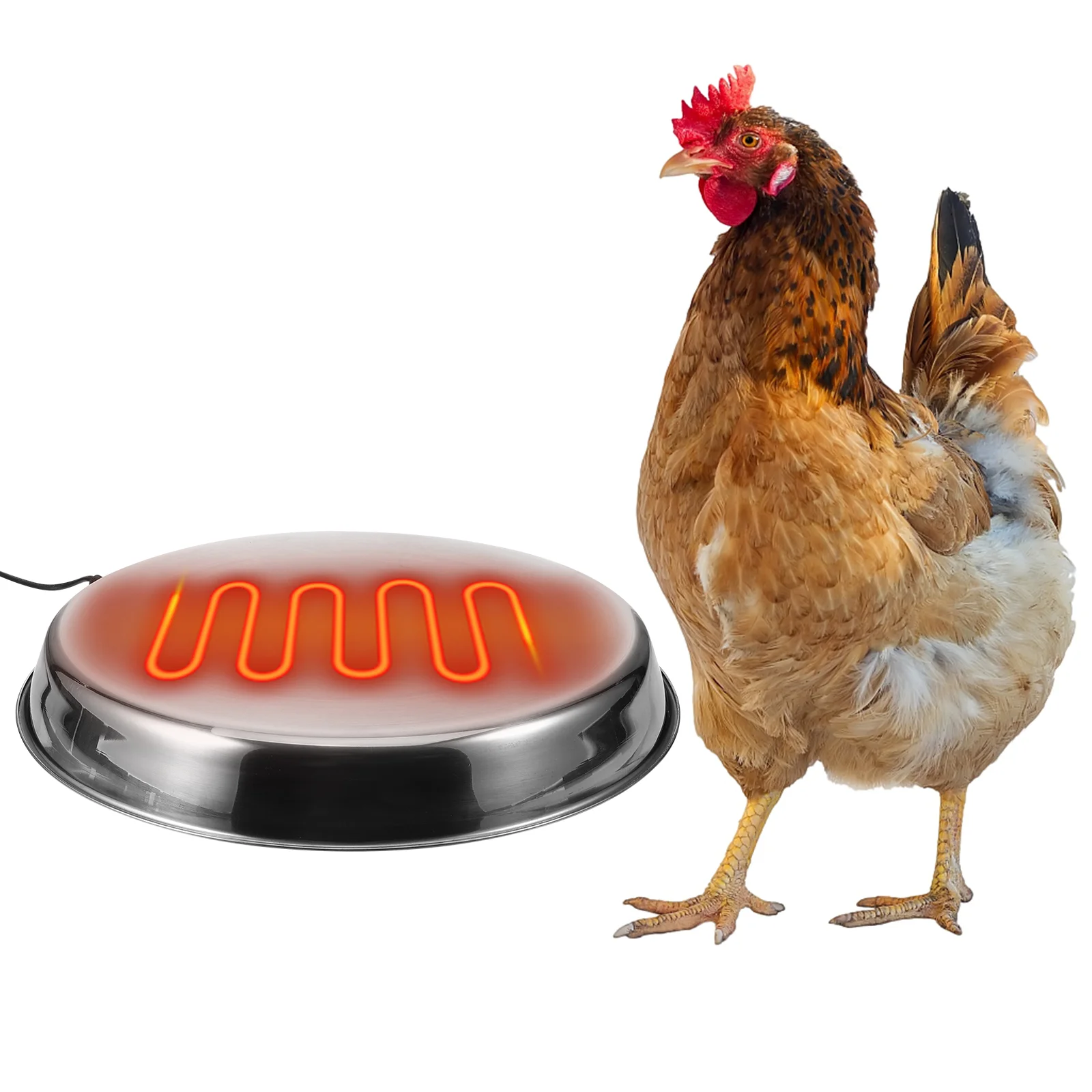 

Poultry Water Heater Chicken for Winter Heating Base Farm Drinker Heated Tool Stainless Steel Waterer