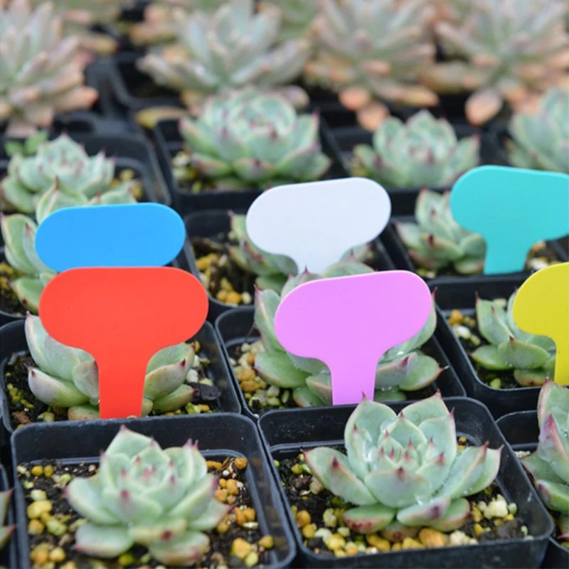 100pcs Garden Labels Plant Classification Sorting Sign Tag Ticket Plastic Writing Plate Board Plug In Card Colorful garden labels