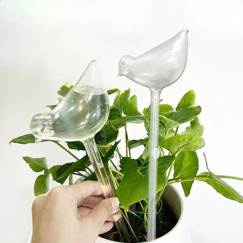 thumbnail image 2 of Evergreen Self-Watering Globe - HPG Brands 2 of 12