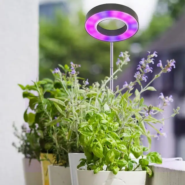 Led Grow Könnyű Fito Lámpa Kis Cserepes Kiegészítő Fény A Növények Növekedési Megvilágításához Beltéri Tompítható Fényerejéhez - Image 2