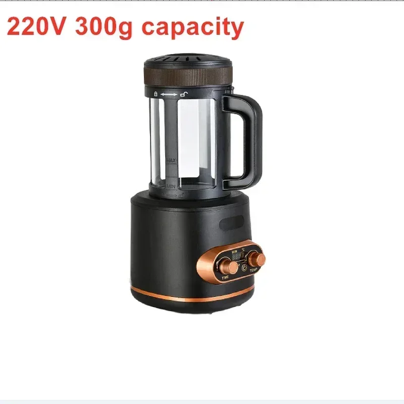 220V 300g