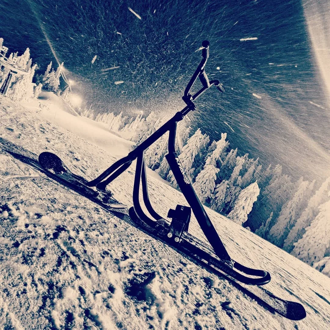 Snow Scooters Equipped with Shock Absorption New Model of Suspension Ski Snow Bike Snowscooter with Alloy Frame