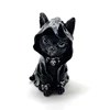 Cat-Coat