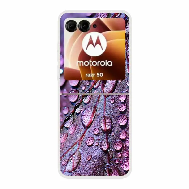 Cartoon Design Transparent Hard Plastic Back Cover Case