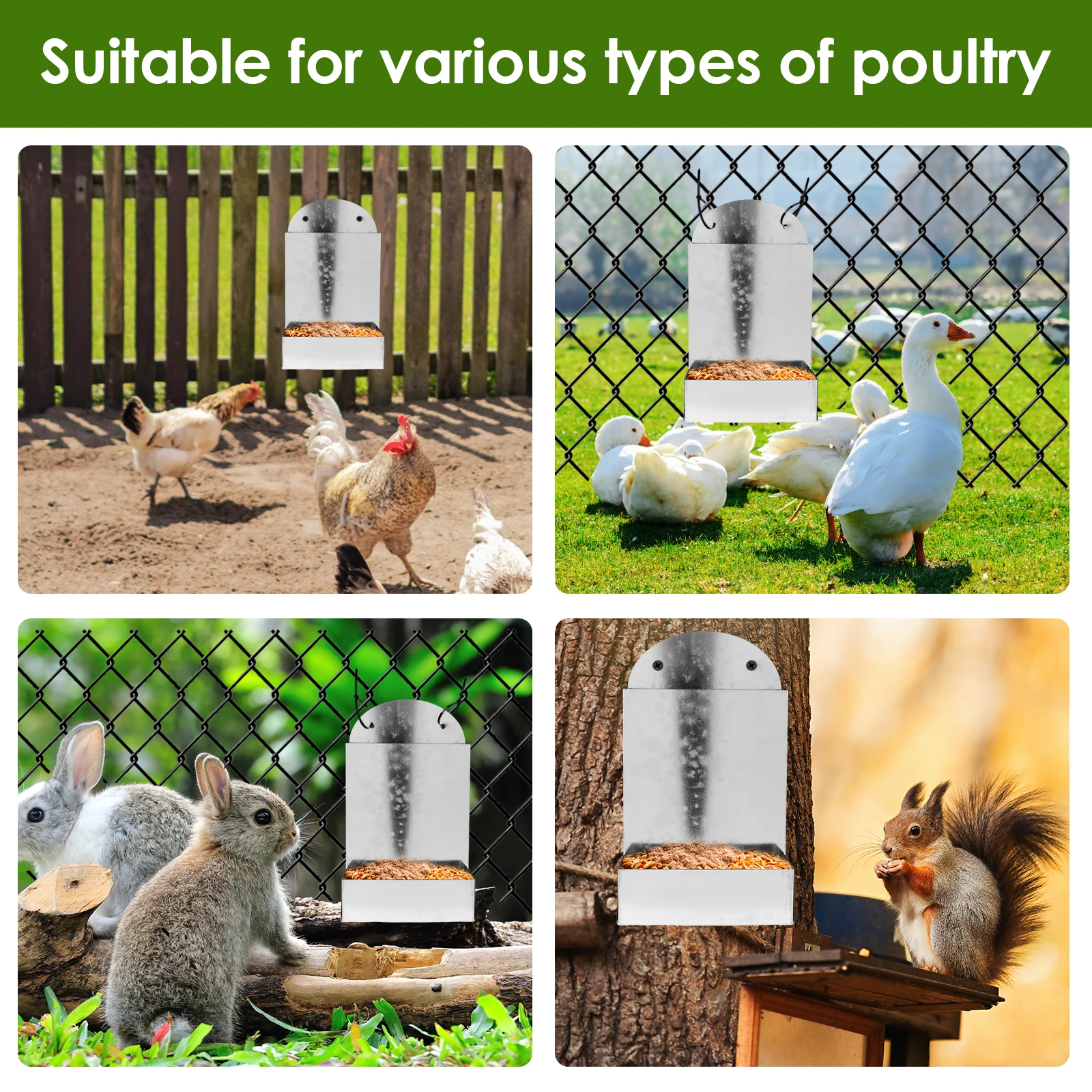 Chicken Oyster Shell Feeder Metal Chicken Grit and Oyster Shell Feeder Hanging Farm Grit Dispenser Poultry Feeding Accessories