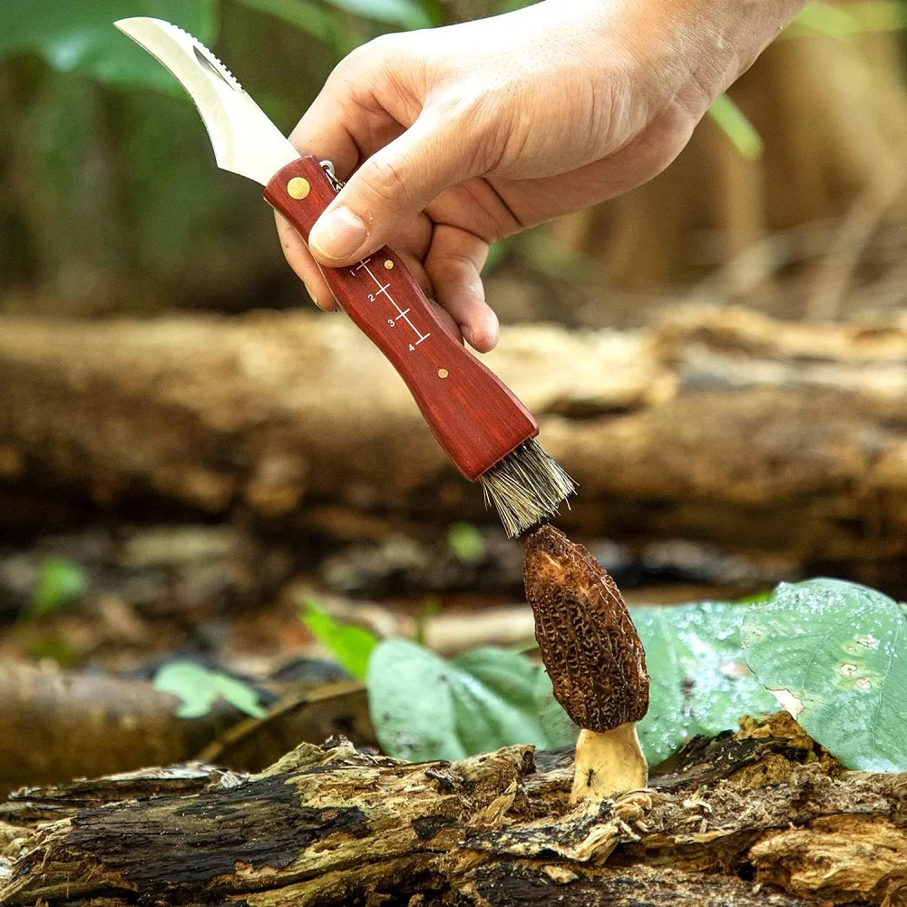 Folding Knife Grady Fung Mushroom Rosewood Body Stainlees Steel Blade for EDC Camping BBQ