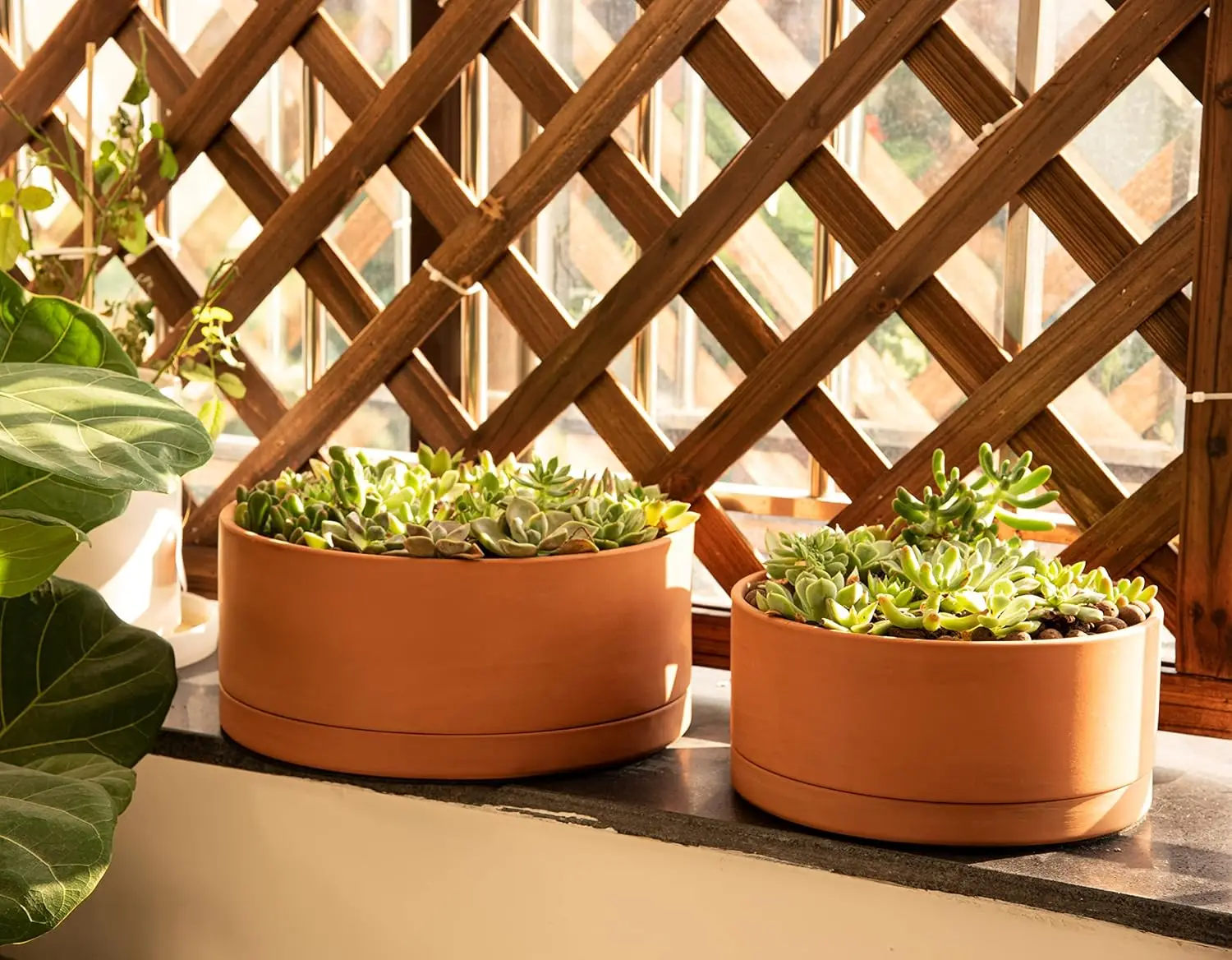 Terracotta planter image 2