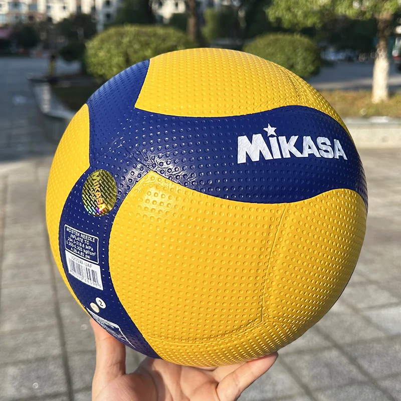 Volleyball Ball 4