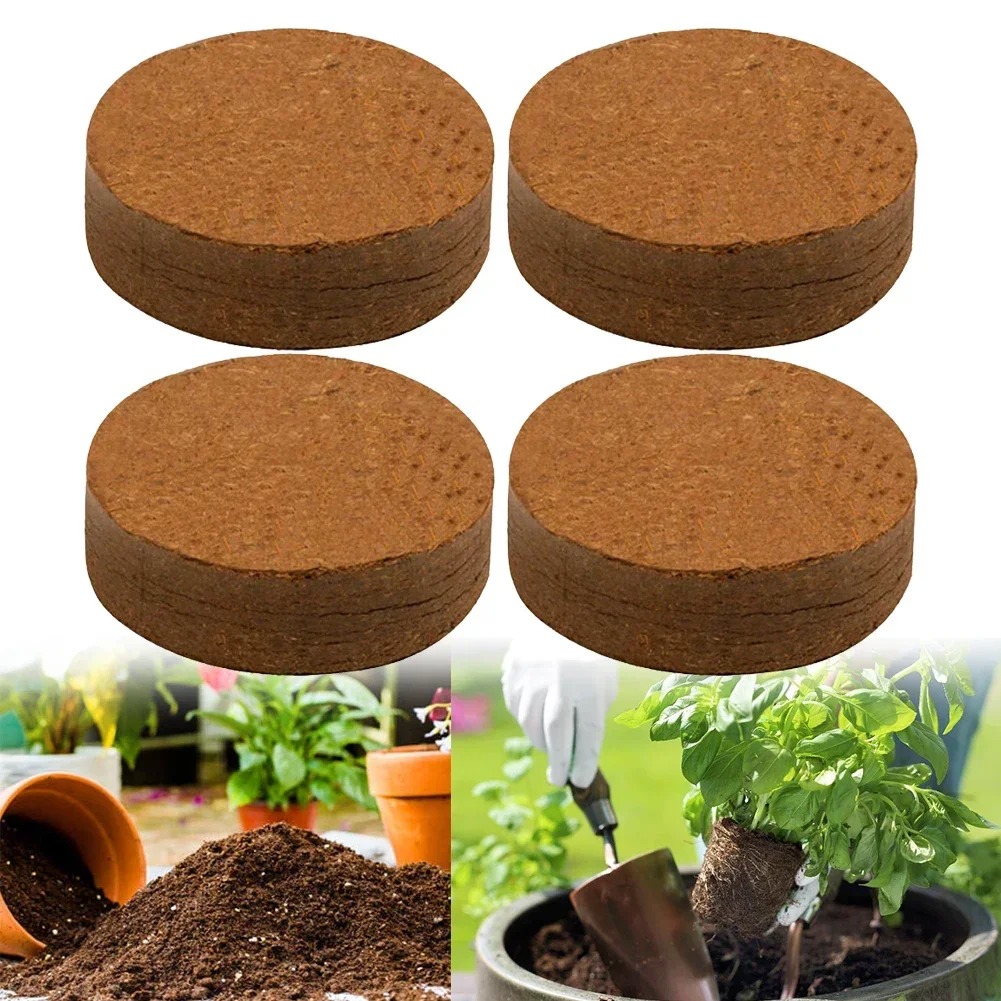 Coconut Fiber Compressed Soil Blocks Coconut Soil Coir Bricks For Indoors Or Outdoors Bonsai Herbs Supplies
