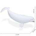Ocean Animal-09