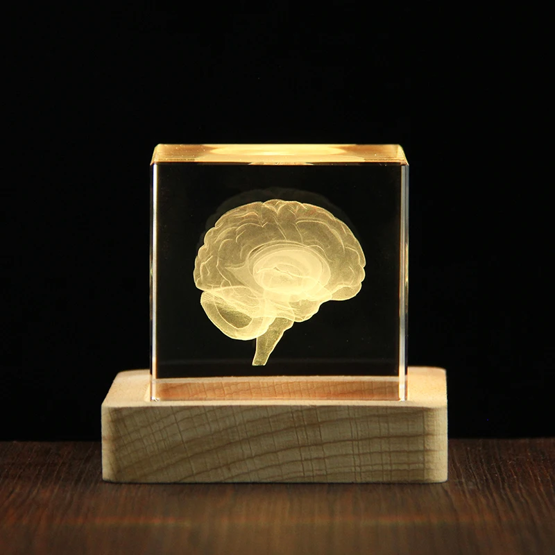 

6cm 3D Cerebrum Crystal Cube Model Laser Engraved Brain Figurines Paperweight Office Home Decoration Crystal Craft Gifts