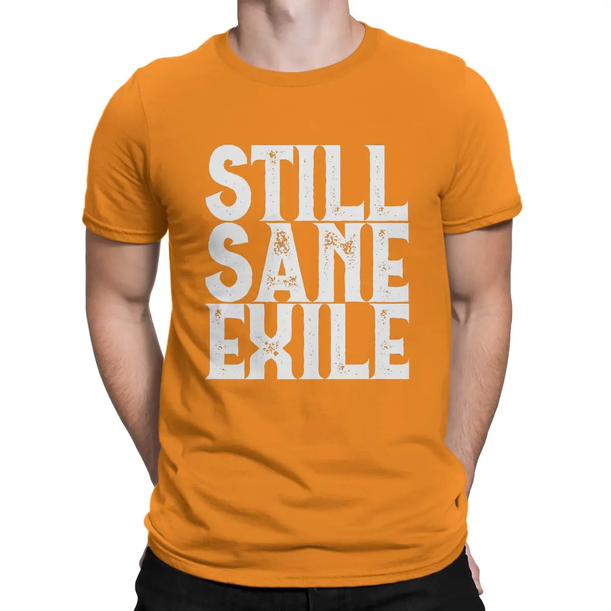 thumbnail image 1 of Camiseta Still Sane Exile para hombre, Path of Exile Leisure, algodón, cuello redondo, manga corta, ideal para regalar., 1 of 7
