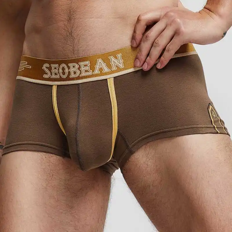 

Brand Hot Men Boxers Underwear Sexy Gay Bulge Pouch Trunks Mens Boxershorts Natural Cotton Underpants Fashion Print Male Panties