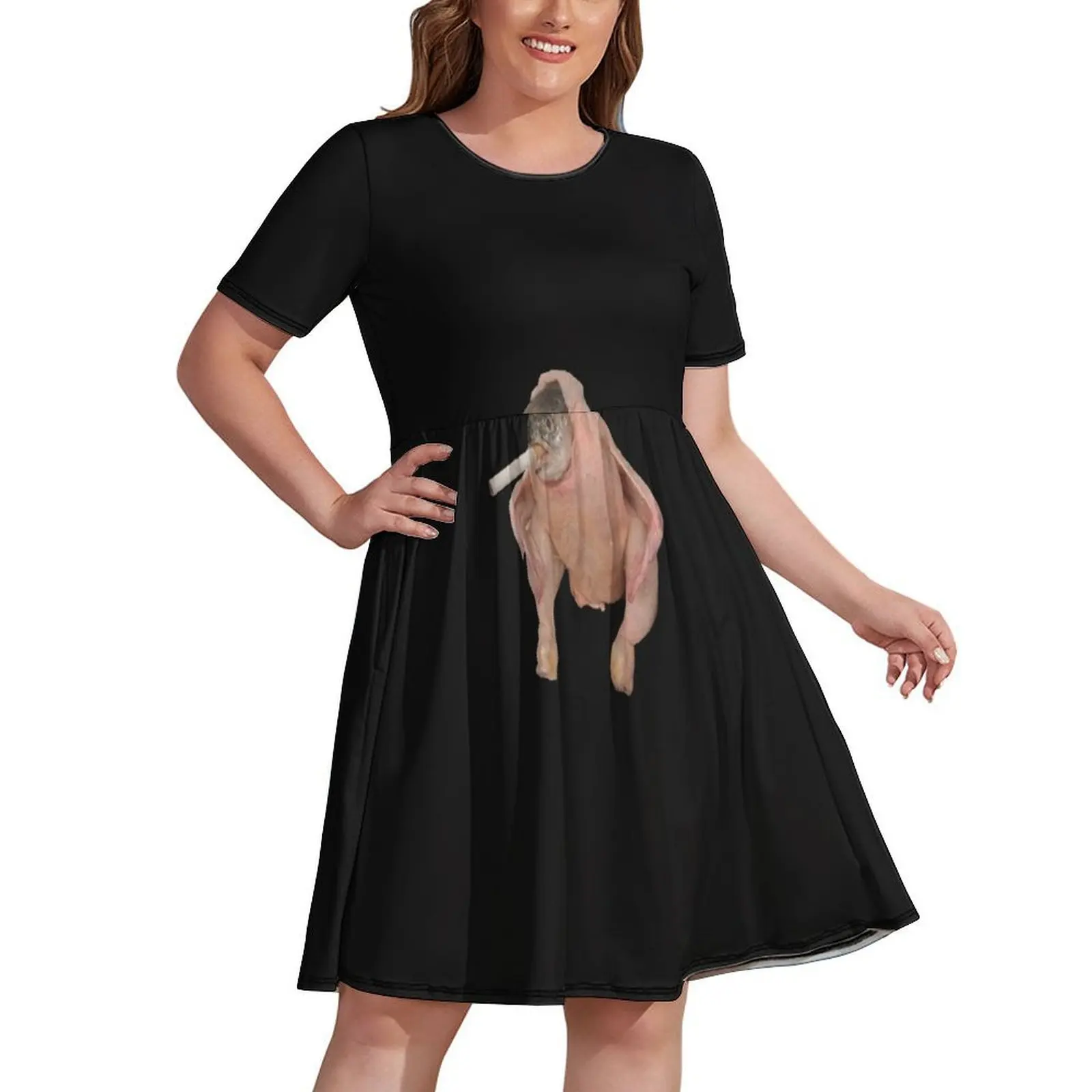 

A smoking fish inside a chicken Dress dress summer beach outfits for women dresses for womens
