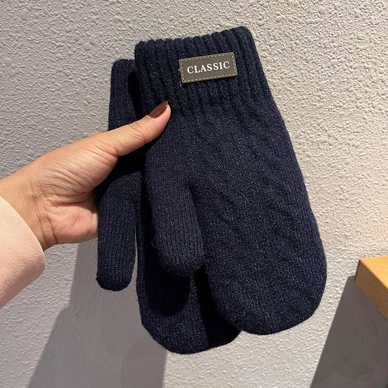 Man Winter Keep Warm Double Layer Add Velvet Thickened Prevent Cold Knitted Gloves Classical Style Elegant Twist Mittens