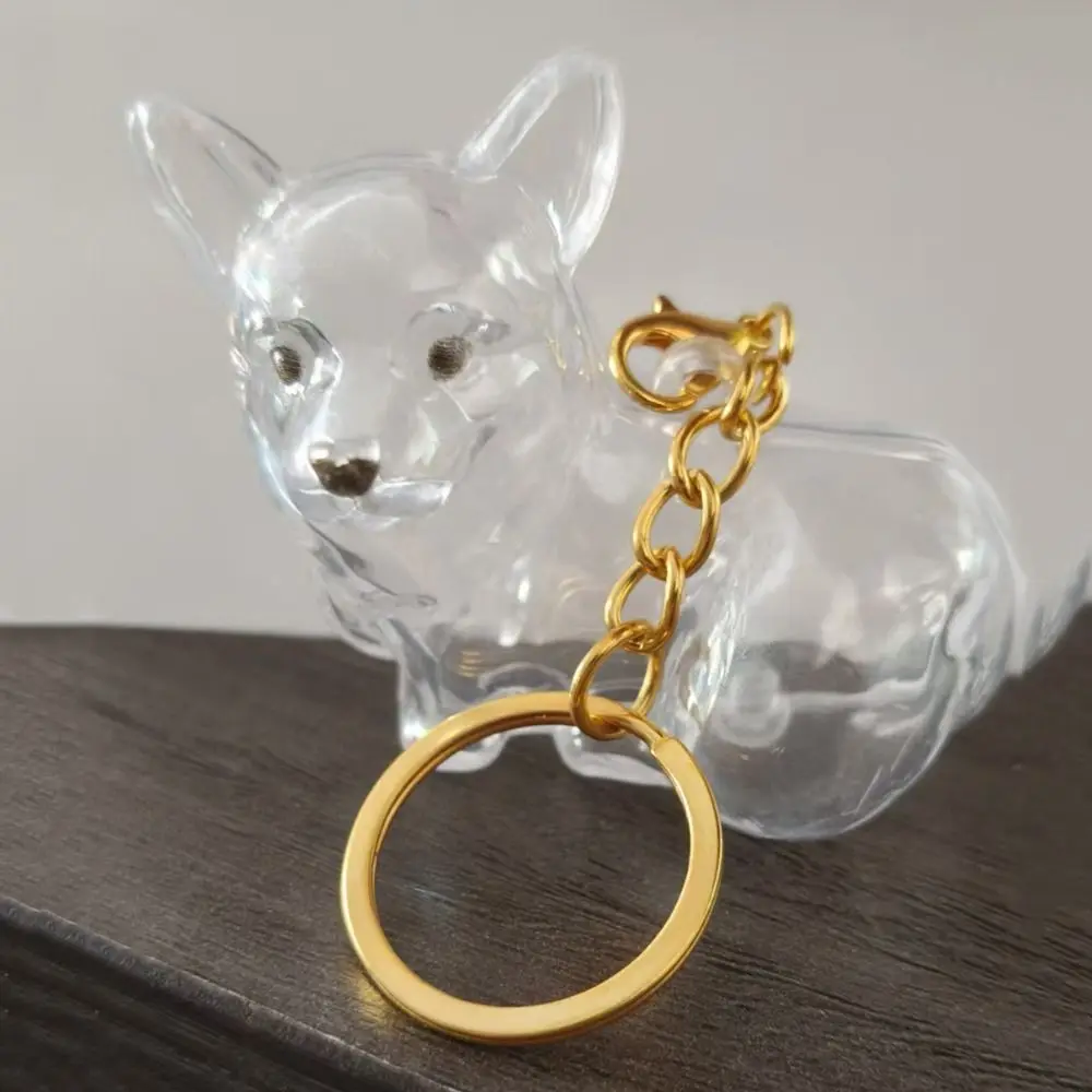 Cute Cartoon Dog Hair Storage Box & Transparent Keychain - DIY Handmade Acrylic Puppy Pendant