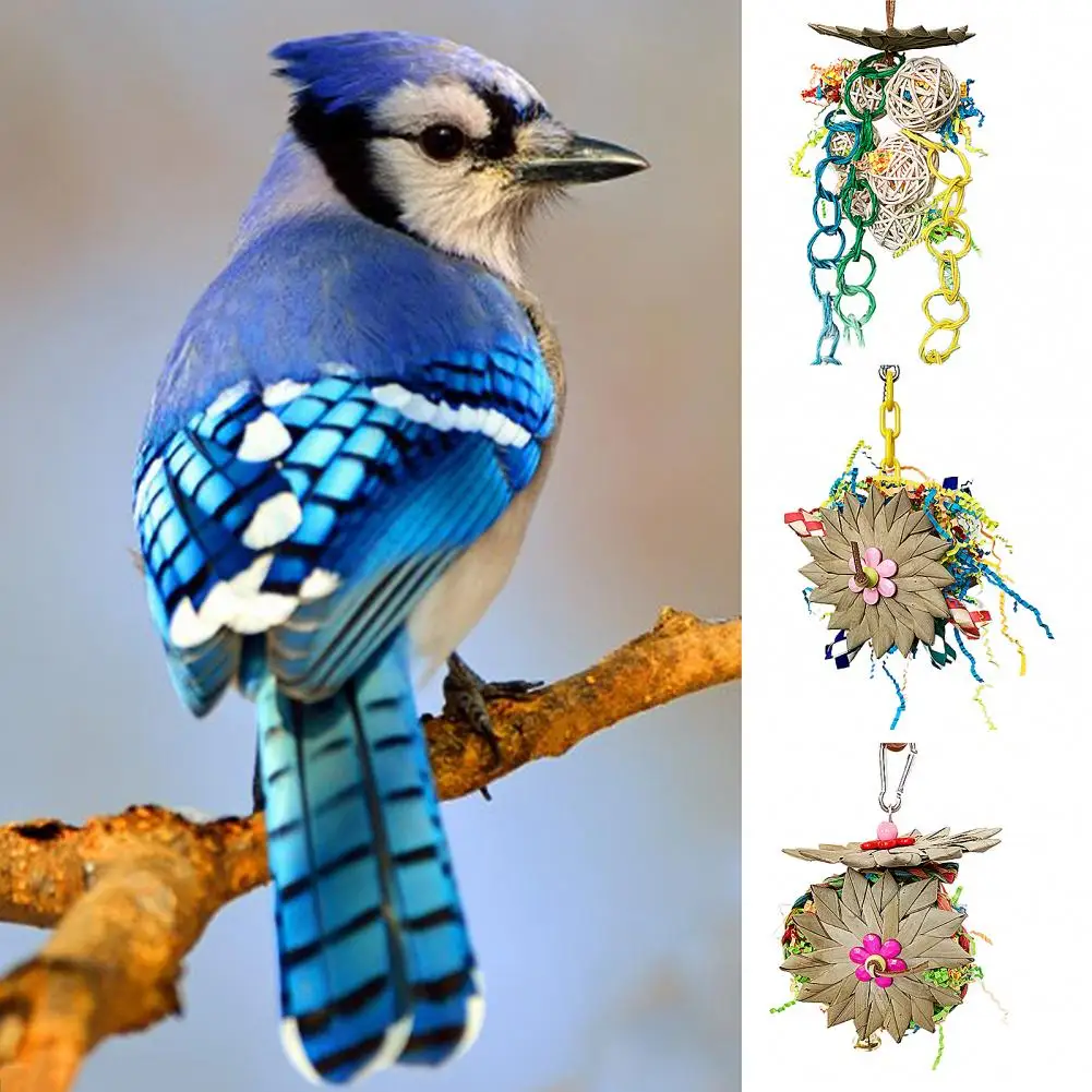 

Снимает скуку натуральный деревянный попугай восхождение жевательные аксессуары для дома