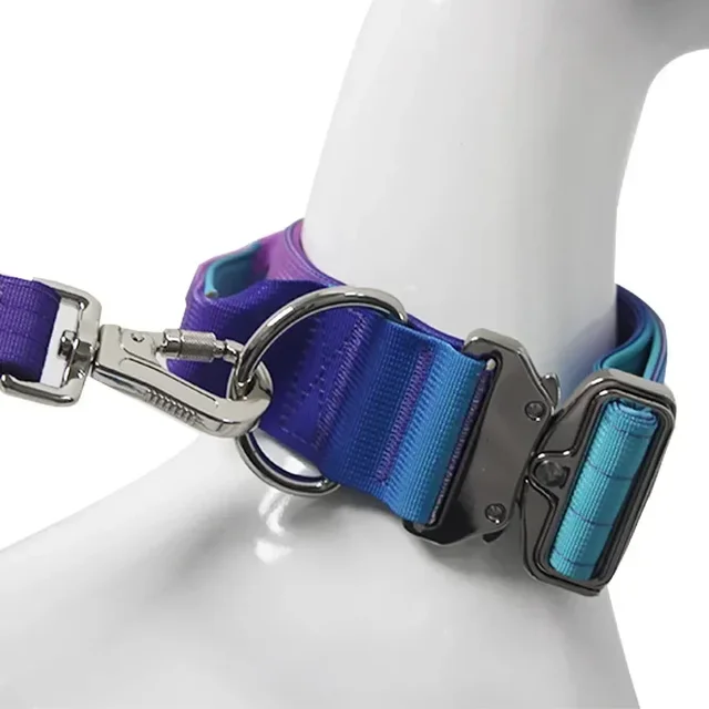 New 5mm Wide Pet Collar Gradual Change Color Traction Set Adjustable Nylon Dog Collar Supplies Medium and Large Dog Accessories 5