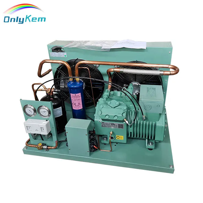

Stainless Steel Cold Room Freezing Room Equipment Refrigeration Condensing Unit