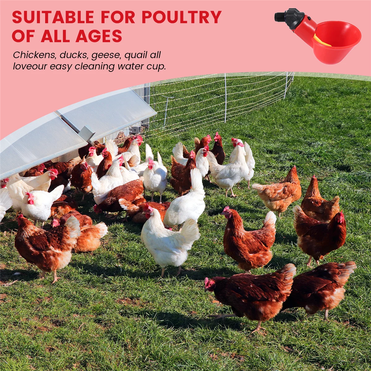 Chicken Waterer Cups, Chicken Waterer Feeder Tee Fittings, Automatic for Ducks Quail 6Pcs
