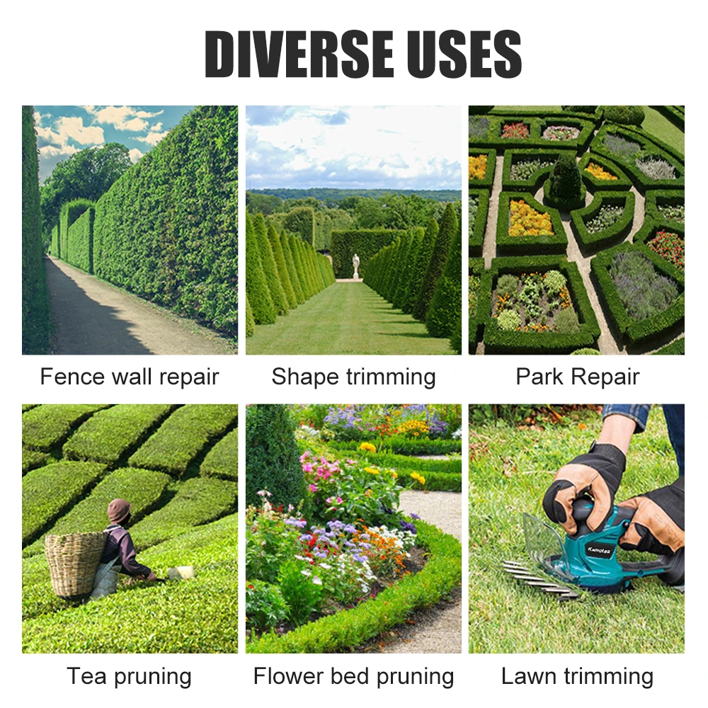 Slide image 2d98bbf630e440978947c97b302b80aa