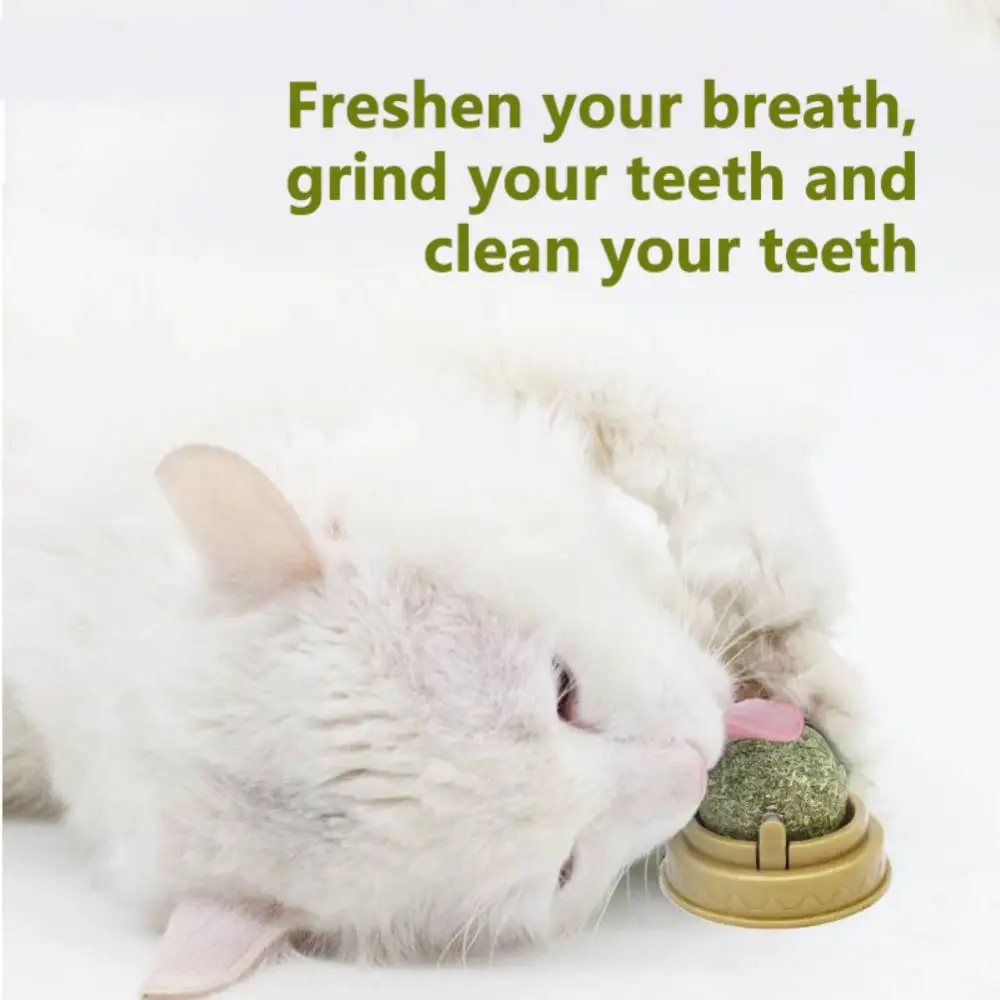 Natural Rotating Mint Ball Cat Candy Licking 2