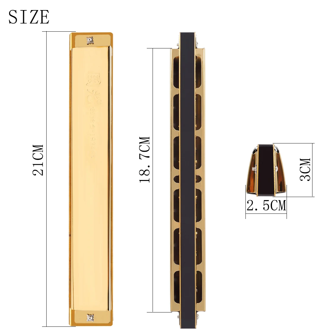 Guoguang 28 Hole Harmonica Polyphony Accent C Harmonica Students Beginners Professional Performce Woodwind Instruments